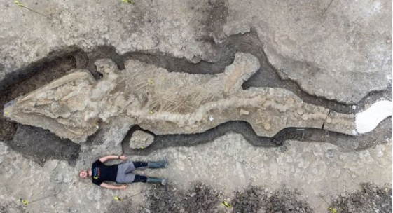 Penemuan Fosil Naga Laut Raksasa di Pesisir Pantai Inggris